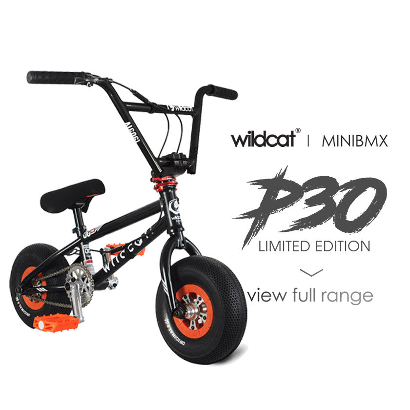 Pro Series P30