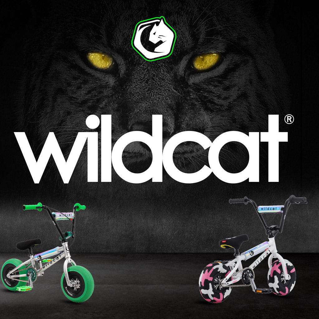 What is a Mini BMX Bike?
