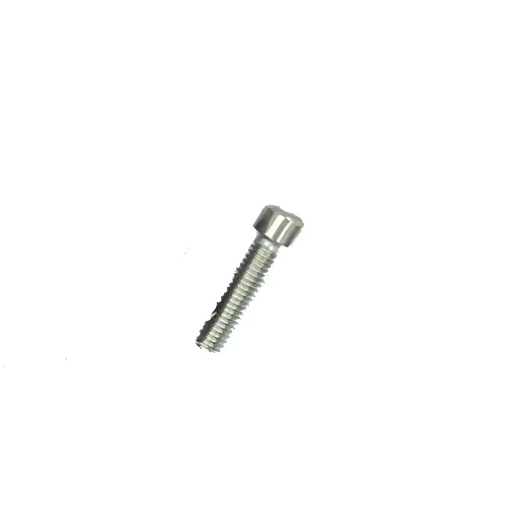 Disc Brake frame screw small